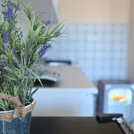 Smestaj Tea Sa Dva Bazena I Besplatan Parking *