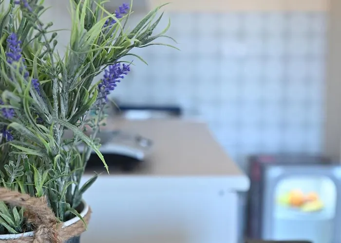 Smestaj Tea Sa Dva Bazena I Besplatan Parking *